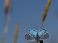 EJ-fb-2014-0208